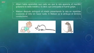 ASV
• Albert había aprendido que cada vez que la rata aparecía, el martillo
golpearía la tabla metálica. Es decir, que anticipaba el fuerte golpe.
• Watson después extinguió el miedo presentando la rata en repetidas
ocasiones al niño sin hacer ruido. A Watson se le atribuye el termino
conductismo.
 