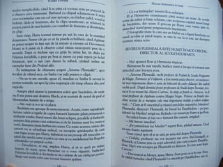 8891090 7talismanele-mortii