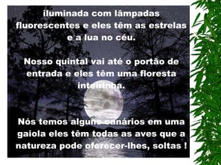 Nós temos uma varanda coberta e iluminada com lâmpadas fluorescentes e eles têm as estrelas e a lua no céu. Nosso quintal vai até o portão de entrada e eles têm uma floresta inteirinha. Nós temos alguns canários em uma gaiola eles têm todas as aves que a natureza pode oferecer-lhes, soltas ! 