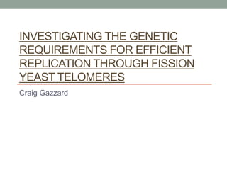 INVESTIGATING THE GENETIC
REQUIREMENTS FOR EFFICIENT
REPLICATION THROUGH FISSION
YEAST TELOMERES
Craig Gazzard
 