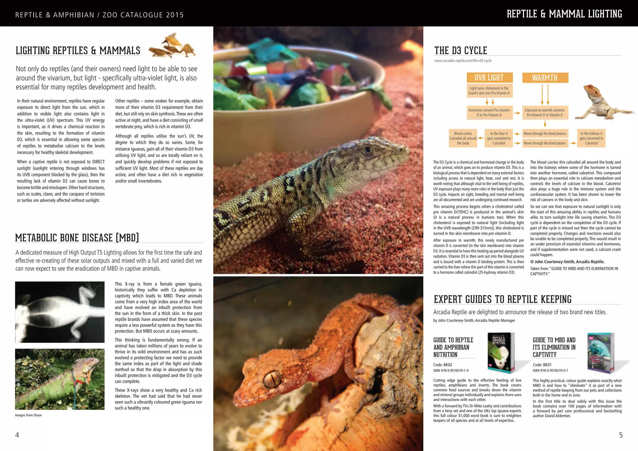 Reptile Zoo Catalogue PPT