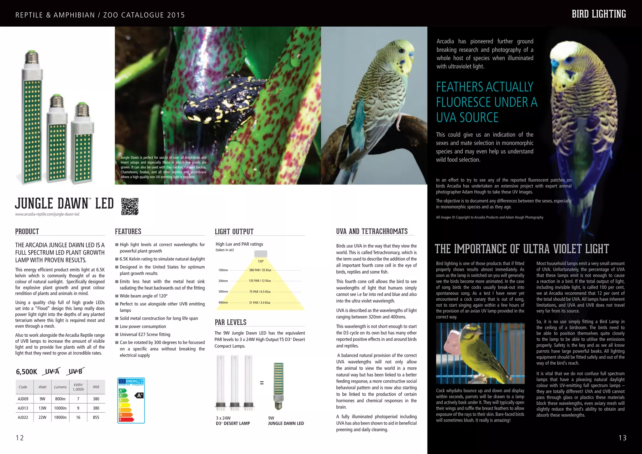 Reptile Zoo Catalogue PPT