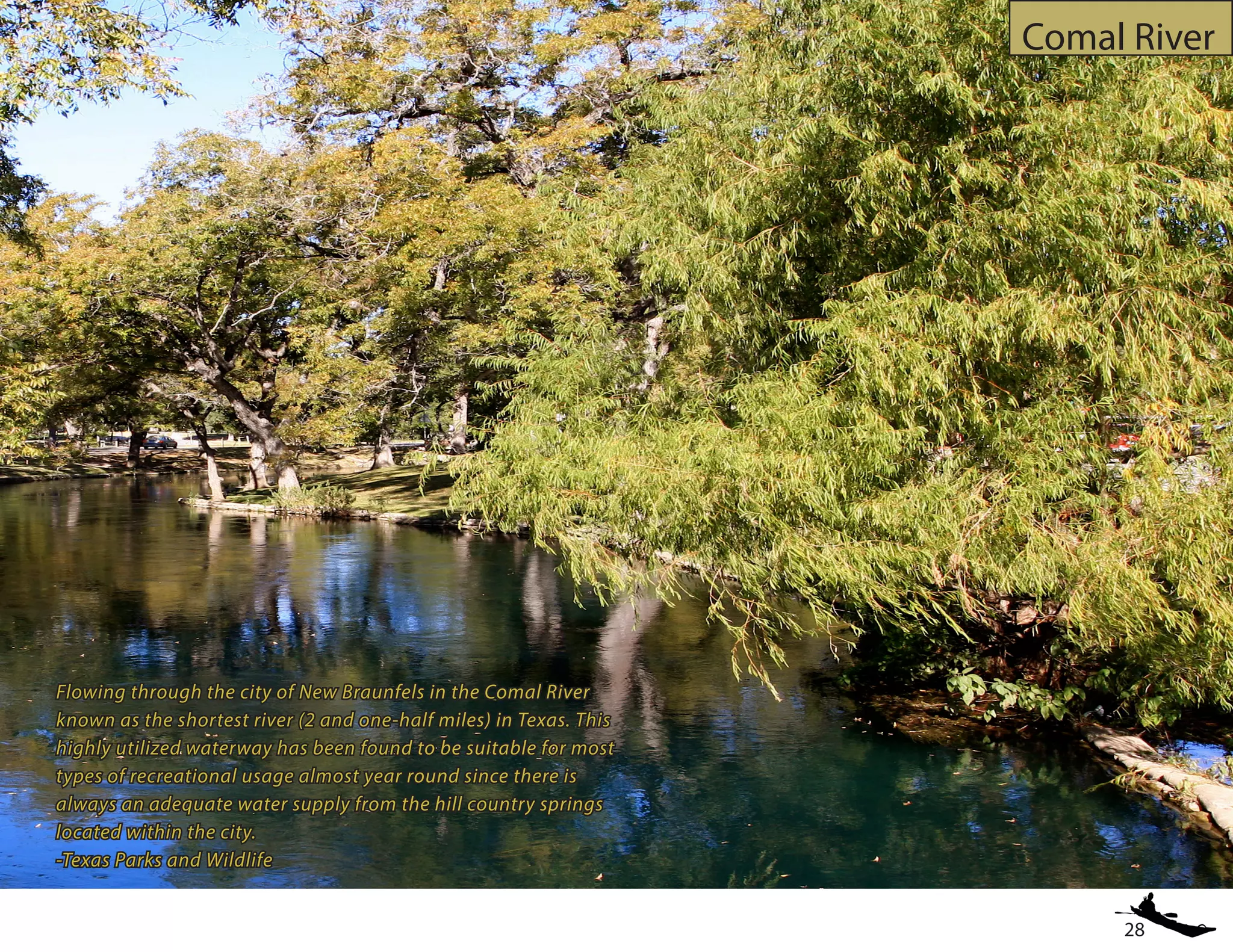 28
Comal River
Flowing through the city of New Braunfels in the Comal River
known as the shortest river (2 and one-half miles) in Texas. This
highly utilized waterway has been found to be suitable for most
types of recreational usage almost year round since there is
always an adequate water supply from the hill country springs
located within the city.
-Texas Parks and Wildlife
 