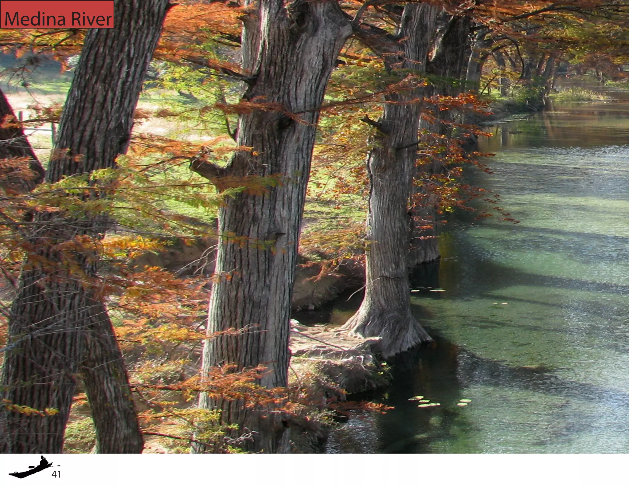 41
Medina River
 