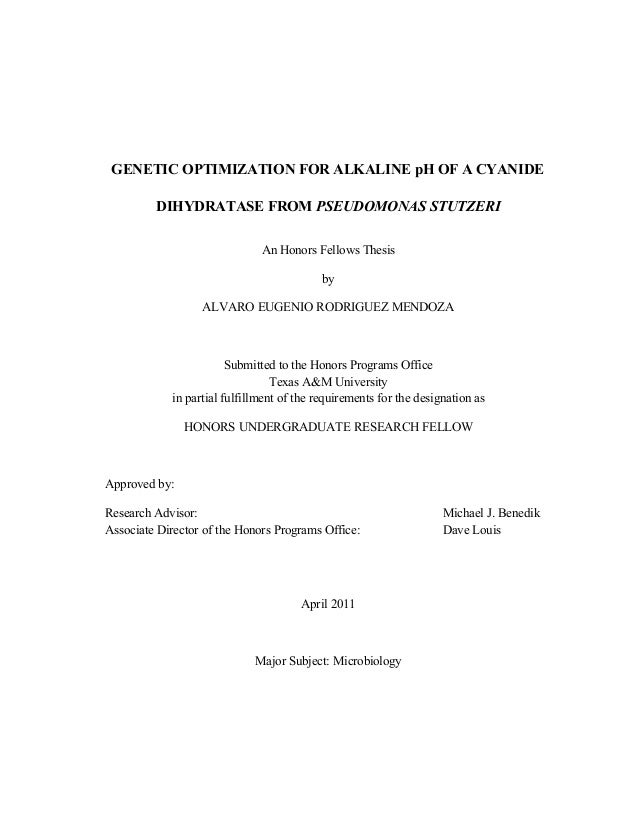 Tamu thesis search