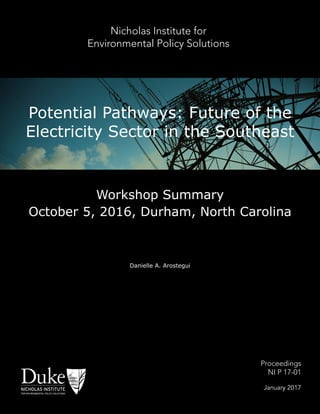 Nicholas Institute for
Environmental Policy Solutions
		
	Proceedings
		 NI P 17-01
January 2017
Danielle A. Arostegui
Potential Pathways: Future of the
Electricity Sector in the Southeast
Workshop Summary
October 5, 2016, Durham, North Carolina
NICHOLAS INSTITUTE
FOR ENVIRONMENTAL POLICY SOLUTIONS
 