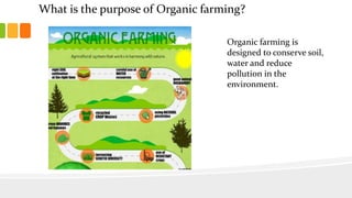 What is the purpose of Organic farming?
Organic farming is
designed to conserve soil,
water and reduce
pollution in the
environment.
 