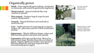 Organically grown
• Seeds - from organically grown plants, unexposed
to chemicals, and cannot be genetically engineered
• Weed control – natural methods like crop
rotation or animals
• Pest control - Predator bugs & traps for pest
control. Biodynamics
• Growth – Natural fertilizers and methods to
enrich the soil
• Cost – higher percent of crop losses do to insects,
fungus, etc., plus extra costs for USDA certification
process
• Appearance - May be different shapes, colors and
look less than perfect and spoil more quickly
• Consumers still expect perfect fruit. Most of us
still envision large, flawless fruit when we think of
apples. Organic apples are smaller, more prone to
skin discolorations, and more expensive than
conventionally grown apples.
Pest traps to manage,
rather than fully
eradicate insects.
Wheat growing in an apple
orchard to enhance soil
organisms to fight disease
and improve apple health.
 