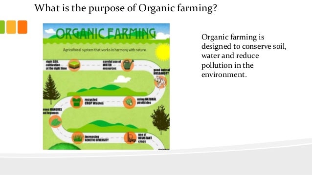 organic-vs-conventional-what-s-the-difference-anyway