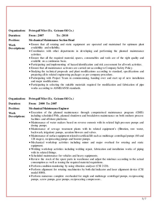 tamer resume 1.doc