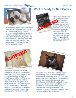 Paw	Prints	Newsletter,	Volume	6	 Summer	2016	
5	
	
	
	
We	Are	Ready	for	New	Homes		
“Marney is my name. I’m a VERY
friendly cat that would love a family
of my own. Being in a Shelter is not
a very happy place for such a
people-loving cat like me! At my age
age (born in 2014), I’ve got lots
more years of love to give! I’m in
great health and I love squeaky toys
as much as any dog! I also like
being in the sunshine – I’ll seek out
the beams wherever they are. I am
already spayed and vaccinated.”	
“Hello there, Wren here!
I'm a pretty awesome
girl. Most cats aren't
cool enough to have
one blue eye and one
green eye! Pretty cool
huh? I'm such a lover. I
love to snuggle right
next to you and be
petted. I get along well
with other animals and
kids. I’m spayed and
up-to-date on all shots.
What's not to like?”
“Flower here! I'm such a cuddle bug!!!
I don't know a stranger! Boy oh boy
do I love to play fetch!!! I would,
however, prefer to be the only dog in
the home, and I would love a home
without small children, they make me
pretty nervous. I get along great with
older kids and cats, though! I am
housebroken, crate trained, and I
love to go for car rides!”
“I’m Midas and I think life is a blast, except
for one thing: I’m sure that seeing shelter
visitors leave without me is no fun! I’m a very
affectionate young boy who is a people-lover
through and through. Born around May
2015, I came to HSAC with my two brothers,
Chewie and Jerzy. I had a small hole in my
chest cavity but I already had surgery to
correct it and I’m fully recovered! I am
neutered, up-to-date on all vaccinations, and
I am happy to live with other cats.”	
Photo	by	Hazelbaker	Photography	
Photo	by	Hazelbaker	Photography	
ADOPTED
ADOPTED
 
