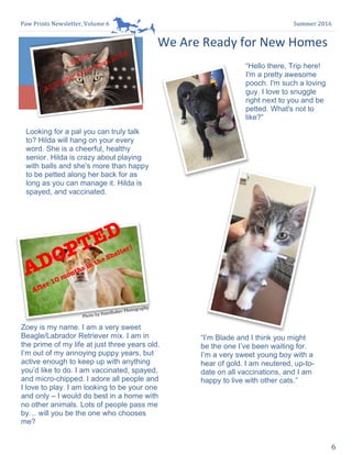 Paw	Prints	Newsletter,	Volume	6	 Summer	2016	
6	
	
	
We	Are	Ready	for	New	Homes		
Zoey is my name. I am a very sweet
Beagle/Labrador Retriever mix. I am in
the prime of my life at just three years old.
I’m out of my annoying puppy years, but
active enough to keep up with anything
you’d like to do. I am vaccinated, spayed,
and micro-chipped. I adore all people and
I love to play. I am looking to be your one
and only – I would do best in a home with
no other animals. Lots of people pass me
by… will you be the one who chooses
me?
“Hello there, Trip here!
I'm a pretty awesome
pooch. I'm such a loving
guy. I love to snuggle
right next to you and be
petted. What's not to
like?”
Looking for a pal you can truly talk
to? Hilda will hang on your every
word. She is a cheerful, healthy
senior. Hilda is crazy about playing
with balls and she's more than happy
to be petted along her back for as
long as you can manage it. Hilda is
spayed, and vaccinated.
“I’m Blade and I think you might
be the one I’ve been waiting for.
I’m a very sweet young boy with a
hear of gold. I am neutered, up-to-
date on all vaccinations, and I am
happy to live with other cats.”	
Photo	by	Hazelbaker	Photography	
ADOPTED
After 10 months in the Shelter!
Senior
At Shelter since April 2016
 
