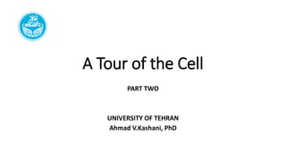A Tour of the Cell
PART TWO
UNIVERSITY OF TEHRAN
Ahmad V.Kashani, PhD
 