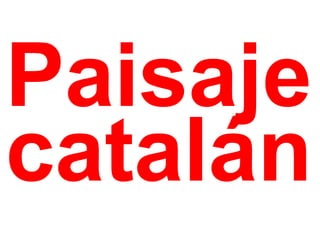 Paisaje catalán 