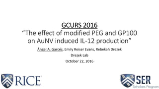 GCURS 2016
“The effect of modified PEG and GP100
on AuNV induced IL-12 production”
Ángel A. Garcés, Emily Reiser Evans, Rebekah Drezek
Drezek Lab
October 22, 2016
 