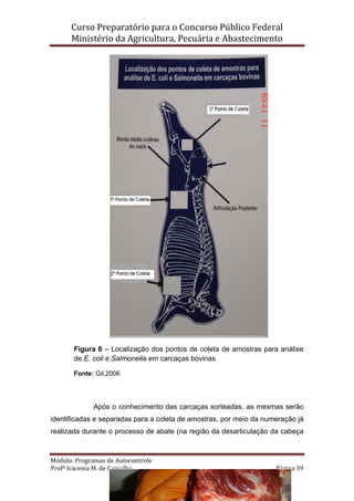 Curso Preparatório para o Concurso Público Federal   
Ministério da Agricultura, Pecuária e Abastecimento 
 
Módulo: Programas de Autocontrole 
Profª Iracema M. de Carvalho  Página 39 
 
Figura 6 – Localização dos pontos de coleta de amostras para análise
de E. coli e Salmonella em carcaças bovinas
Fonte: Gil,2006
Após o conhecimento das carcaças sorteadas, as mesmas serão
identificadas e separadas para a coleta de amostras, por meio da numeração já
realizada durante o processo de abate (na região da desarticulação da cabeça
 