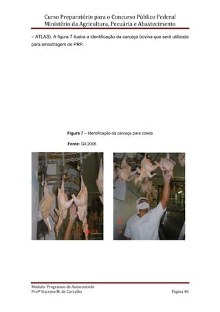 Curso Preparatório para o Concurso Público Federal   
Ministério da Agricultura, Pecuária e Abastecimento 
 
Módulo: Programas de Autocontrole 
Profª Iracema M. de Carvalho  Página 40 
 
– ATLAS). A figura 7 ilustra a identificação da carcaça bovina que será utilizada
para amostragem do PRP.
Figura 7 – Identificação da carcaça para coleta
Fonte: Gil,2006
 
