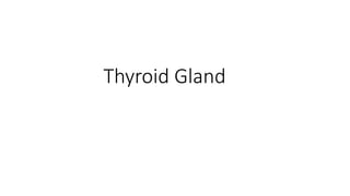 Thyroid Gland
 