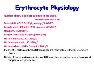 Erythrocyte Physiology
Number of RBC: It is most numbers in the blood.
Normal value about RBC
Male adult, 4.5~5.5×1012/L; average, 5.0×1012/L
Female adult, 3.8~4.6× 1012/L; average, 4.2×1012/L
Newborn, ≥ 6.0×1012/L
Protein within RBC is hemoglobin (Hb).
Hb in male adult, 120~160 g/L;
Hb in female adult, 110~150 g/L;
Hb in newborn (within 5 days), ≥ 200 g/L
Pregnant female, numbers of RBC and Hb are relatively less (because of more
plasma).
Dweller lived in plateau, numbers of RBC and Hb are relatively more (because of
compensation for anoxia).

 