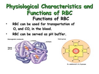 Physiological Characteristics and
Functions of RBC
Functions of RBC

•

RBC can be used for transportation of
O2 and CO2 in the blood.

•

RBC can be served as pH buffer.

 