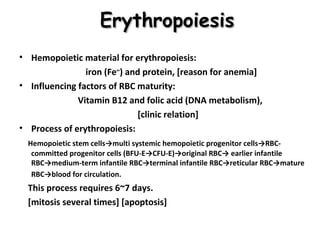 Erythropoiesis
• Hemopoietic material for erythropoiesis:
iron (Fe++) and protein, [reason for anemia]
• Influencing factors of RBC maturity:
Vitamin B12 and folic acid (DNA metabolism),
[clinic relation]
• Process of erythropoiesis:
Hemopoietic stem cells→multi systemic hemopoietic progenitor cells→RBCcommitted progenitor cells (BFU-E→CFU-E)→original RBC→ earlier infantile
RBC→medium-term infantile RBC→terminal infantile RBC→reticular RBC→mature
RBC→blood for circulation.

This process requires 6~7 days.
[mitosis several times] [apoptosis]

 