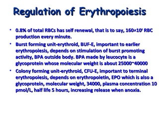 Regulation of Erythropoiesis
• 0.8% of total RBCs has self renewal, that is to say, 160×106 RBC
production every minute.
• Burst forming unit-erythroid, BUF-E, important to earlier
erythropoiesis, depends on stimulation of burst promoting
activity, BPA outside body. BPA made by leucocyte is a
glycoprotein whose molecular weight is about 25000~40000
• Colony forming unit-erythroid, CFU-E, important to terminal
erythropoiesis, depends on erythropoietin, EPO which is also a
glycoprotein, molecular weight, 34000, plasma concentration 10
pmol/L, half life 5 hours, increasing release when anoxia.

 