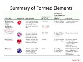 Summary of Formed Elements

Table 17.2.1

 