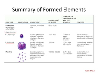 Summary of Formed Elements

Table 17.2.2

 