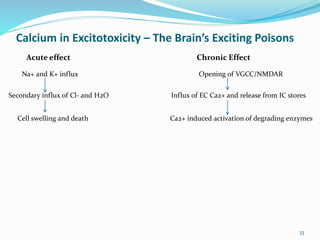 Calcium in Excitotoxicity – The Brain’s Exciting Poisons
Acute effect Chronic Effect
Na+ and K+ influx Opening of VGCC/NMDAR
Secondary influx of Cl- and H2O Influx of EC Ca2+ and release from IC stores
Cell swelling and death Ca2+ induced activation of degrading enzymes
33
 