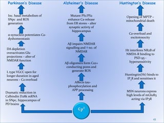 43
MSN neurons express
high levels of mGluR5
acting via IP3R
Huntingtin(Ht) binds to
IP3R and sensitises it
Ht interferes NR2B of
NMDA-R binding to
PSD-95 -
hypersensitivity
Ca-overload and
excitotoxocity
Opening of MPTP –
mitochondrial death
Huntington’s DiseaseParkinson’s Disease
Dramatic reduction in
Calbindin D28k mRNA
in SNpc, hippocampus of
PD brains
L type VGCC open for
longer duration in aged
neurons – Ca overload
Inc. basal metabolism of
SNpc and ROS
generation
α-synuclein potentiates Ca-
dyshomeostasis
DA depletion
overactivates Glu
projections – alter of
NMDAR function
Alzheimer’s Disease
Affects tau-
phosphorylation and
APP processing
Aβ oligomers form Ca2+
conducting pores and
generate ROS
Aβ impairs NMDAR
signalling and no. of
NMDAR
Mutant PS1/PS2
enhance Ca-release
from ER stores – alter
synaptic activty of
hippocampus
 