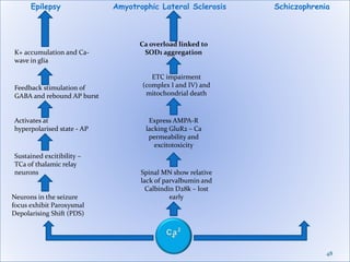 48
SchiczophreniaEpilepsy
Neurons in the seizure
focus exhibit Paroxysmal
Depolarising Shift (PDS)
Sustained excitibility –
TCa of thalamic relay
neurons
K+ accumulation and Ca-
wave in glia
Feedback stimulation of
GABA and rebound AP burst
Activates at
hyperpolarised state - AP
Amyotrophic Lateral Sclerosis
Spinal MN show relative
lack of parvalbumin and
Calbindin D28k – lost
early
Express AMPA-R
lacking GluR2 – Ca
permeability and
excitotoxicity
ETC impairment
(complex I and IV) and
mitochondrial death
Ca overload linked to
SOD1 aggregation
 