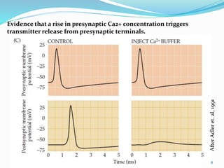 Evidence that a rise in presynaptic Ca2+ concentration triggers
transmitter release from presynaptic terminals.
AfterAdleret.al,1991
8
 