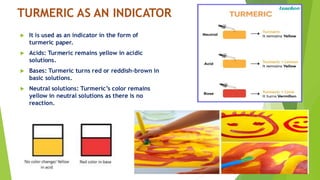 Neutral Base 893606577-Exploring-Substances-Acidic-Basic-and-Neutral-Vii.pdf