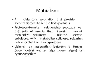 Mutualism
• An obligatory association that provides
some reciprocal benefit to both partners:
• Protozoan-termite relationship- protozoa live
in
the guts of
metabolize
insects
cellulose;
that ingest
but the
protozoa
cannot
secrete
cellulases, which metabolize cellulose, releasing
nutrients that the insects can use.
• Lichens- an association between a fungus
(ascomycetes) and an alga (green algae) or
cyanobacterium.
 