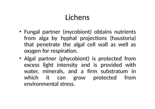 Lichens
• Fungal partner (mycobiont) obtains nutrients
from alga by hyphal projections (haustoria)
that penetrate the algal cell wall as well as
oxygen for respiration.
• Algal partner (phycobiont) is protected from
excess light intensity and is provided with
water, minerals, and a firm substratum in
which it can grow protected from
environmental stress.
 