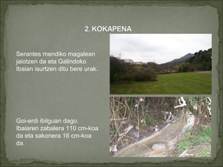 Serantes mendiko magalean jaiotzen da eta Galindoko Ibaian isurtzen ditu bere urak.  Goi-erdi ibilguan dago.  Ibaiaren zabalera 110 cm-koa da eta sakonera 16 cm-koa da .  