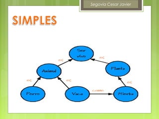 Segovia Cesar Javier
 