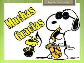 Segovia Cesar Javier
 