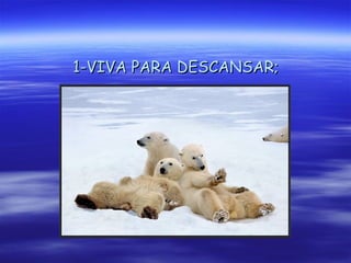 1-VIVA PARA DESCANSAR; 