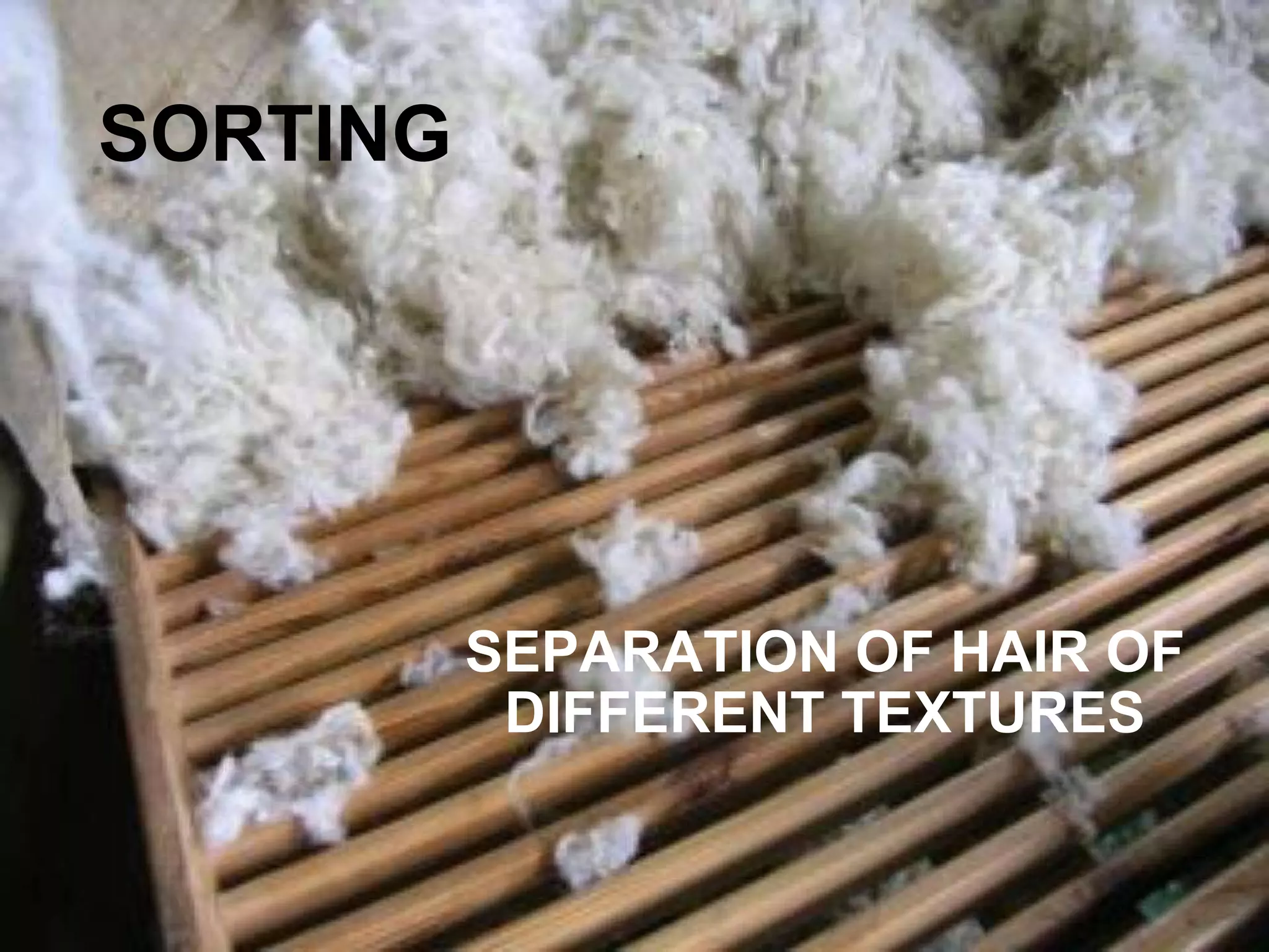 SORTING SEPARATION OF HAIR OF DIFFERENT TEXTURES 