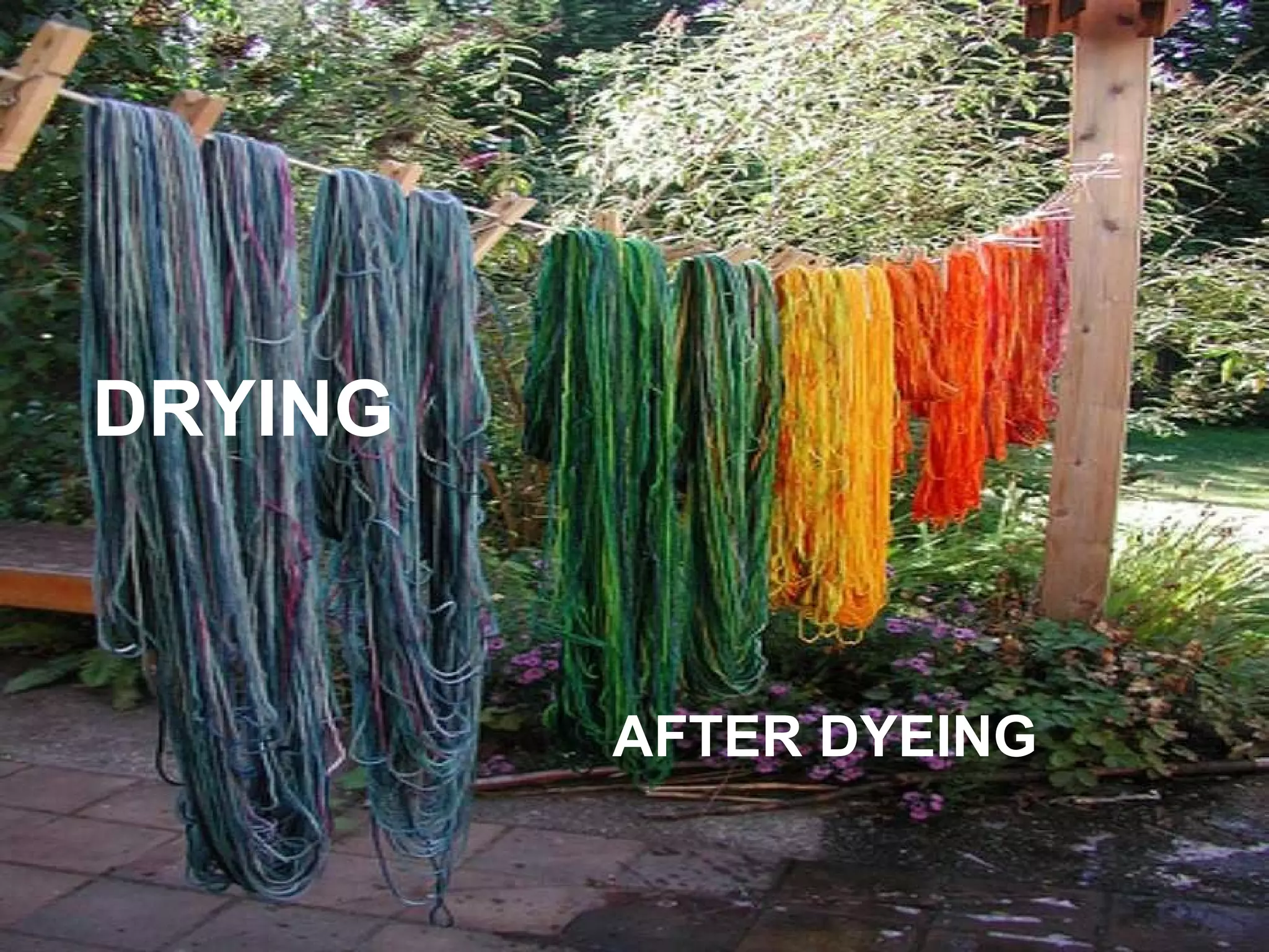 DRYING  AFTER DYEING 