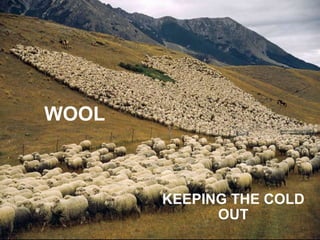 WOOL KEEPING THE COLD OUT 
