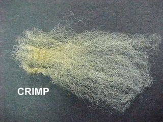 CRIMP