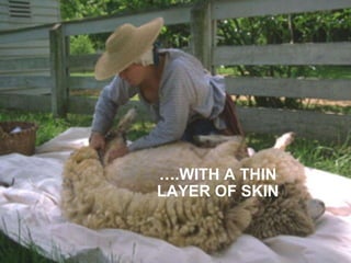 … .WITH A THIN LAYER OF SKIN