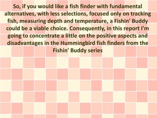 A Small Number of Pluses and Minuses of the Fishin' Buddy Depth Finders