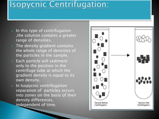  In this type of centrifugation
,the solution contains a greater
range of densities.
 The density gradient contains
the whole range of densities of
the particles in the sample.
 Each particle will sediment
only to the position in the
centrifuge tube at which the
gradient density is equal to its
own density.
 In Isopycnic centrifugation
separation of particles occurs
into zones on the basis of their
density differences,
independent of time.
 