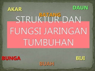 AKAR
BATANG
DAUN
BUNGA
BUAH
BIJI
 