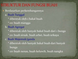  Berdasarkan perkembangannya:
a. Buah Tunggal
* dibentuk oleh 1 bakal buah
* co: buah mangga
b. Buah Agregat
* dibentuk oleh banyak bakal buah dari 1 bunga
* co: buah sirsak, buah arbei, buah srikaya
c. Buah Majemuk/ganda
* dibentuk oleh banyak bakal buah dari banyak
bunga
* co: buah nenas, buah keluwih, buah nangka
 