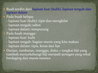  Buah terdiri dari lapisan luar (kulit), lapisan tengah dan
lapisan dalam
 Pada buah kelapa:
- lapisan luar (kulit): tipis dan mengkilat
- lapisan tengah: sabut
- lapisan dalam: tempurung
 Pada buah mangga:
- lapisan luar: kulit
- lapisan tengah: bagian manis yang kita makan
- lapisan dalam: tipis, keras dan liat
 Durian, rambutan, manggis, duku = tangkai biji yang
tumbuh menyelubungi biji menjadi jaringan yang tebal
berdaging dan manis rasanya
 