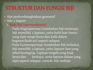  Alat perkembangbiakan generatif
 Ada 3 bagian:
1. Kulit Biji (spermodermis)
- Pada Angiospermae (tumbuhan biji tertutup),
biji memiliki 2 lapisan, yaitu kulit luar (testa)
yang tipis tetapi keras dan kulit dalam
(tegmen/kulit ari) seperti selaput
- Pada Gymnospermae (tumbuhan biji terbuka),
biji memiliki 3 lapisan, yaitu lapisan luar yang
tebal berdaging. Lapisan tengah yang kuat
keras dan berkayu, serta lapisan dalam yang
tipis seperti selaput, contoh: biji melinjo
 
